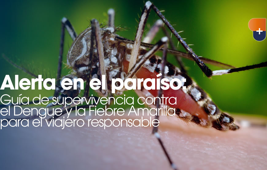 Alerta en el paraíso: Guía de supervivencia contra el Dengue y la Fiebre Amarilla para el viajero responsable