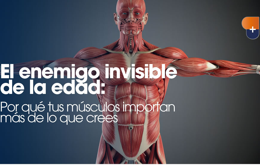 El enemigo invisible de la edad: Por qué tus músculos importan más de lo que crees